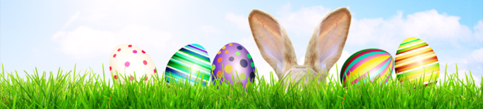 fotolila: #141542789 I © Thaut Images Wiese mit Hase und bunten Ostereiern